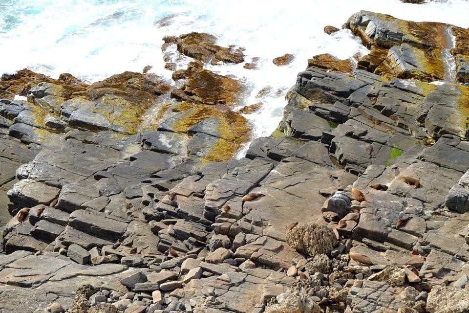 DSCF1713.JPG