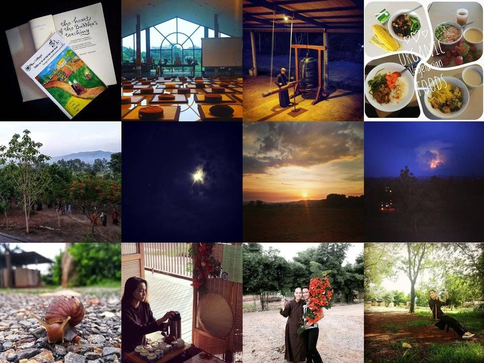 Highlights & Reflection #1 : Travel to Thai Plum Village - The land of present moment