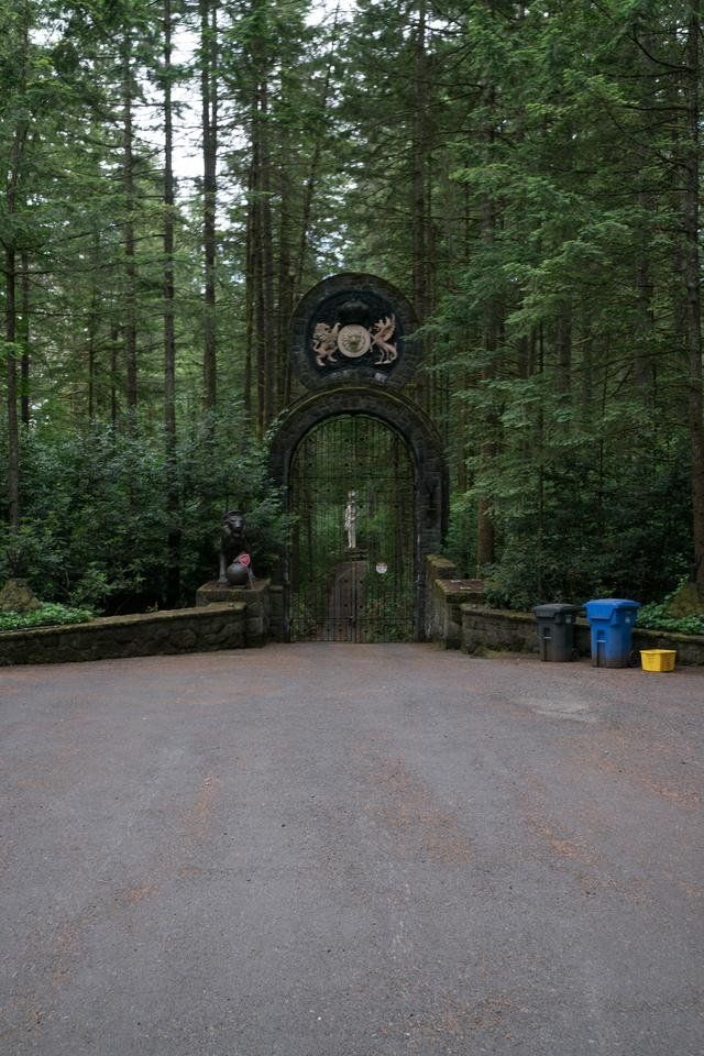 _DSC9815.jpg