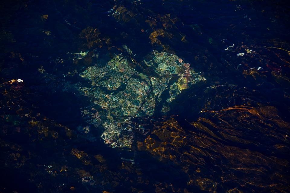 verity-36.jpg