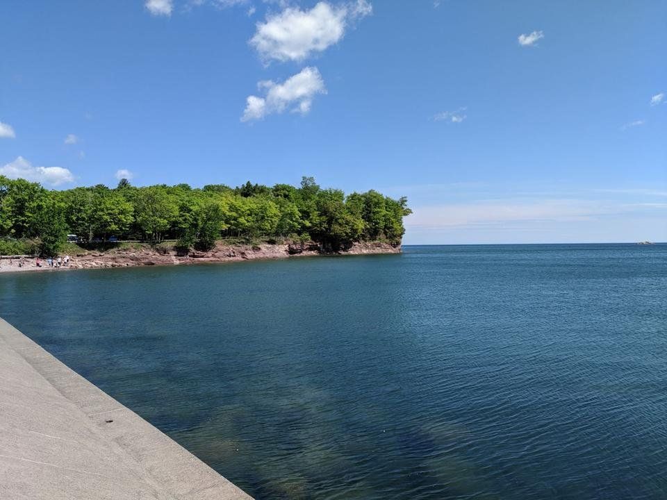 IMG_20190625_115350.jpg