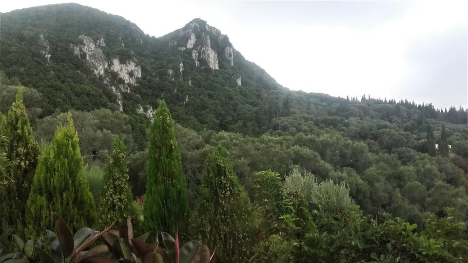 20191003_162745.jpg