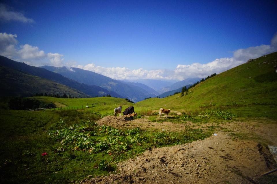 A Travel Story : The Blacksea Touring : Hamsilos Nature Park,Uzungöl and Çamlıhemşin Plateaus
