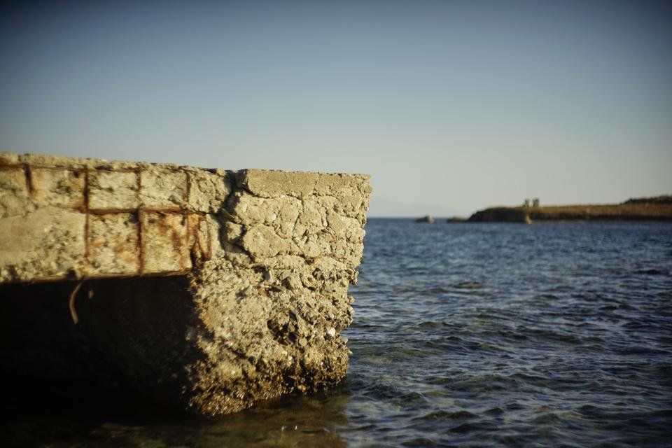 _DSC4500.jpg