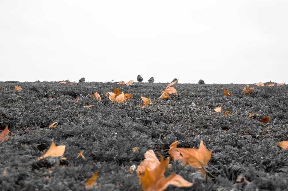Wednesday walk - cloudy day in Zurich