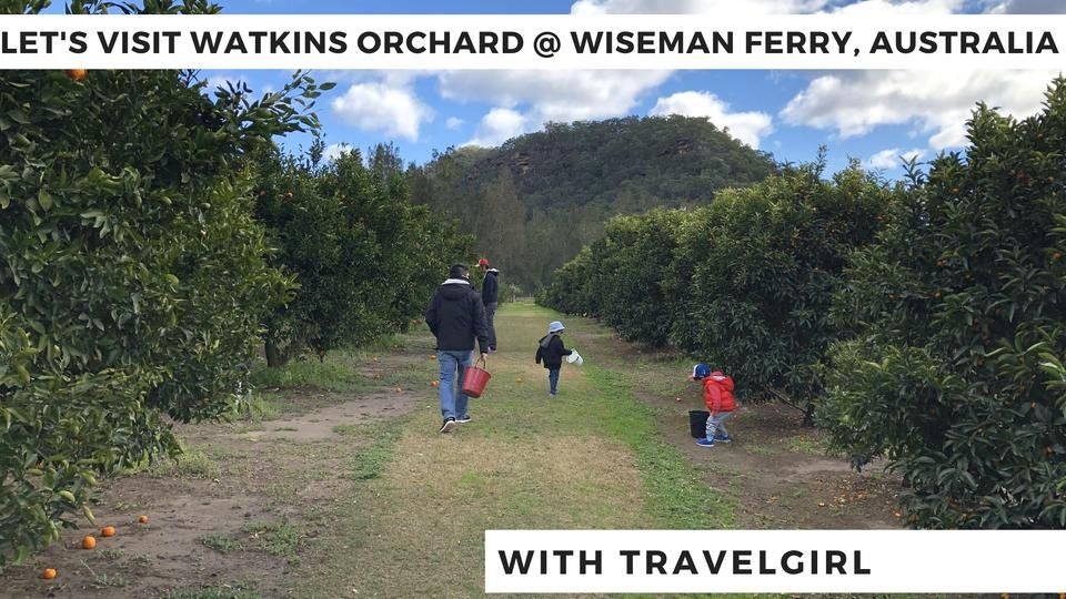 Traveling the World #167 - Watkins Orchard @ Wiseman Ferry, Australia