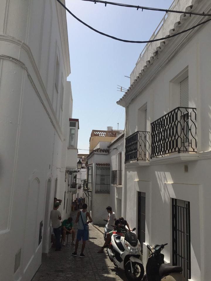 IMG_4516.jpeg