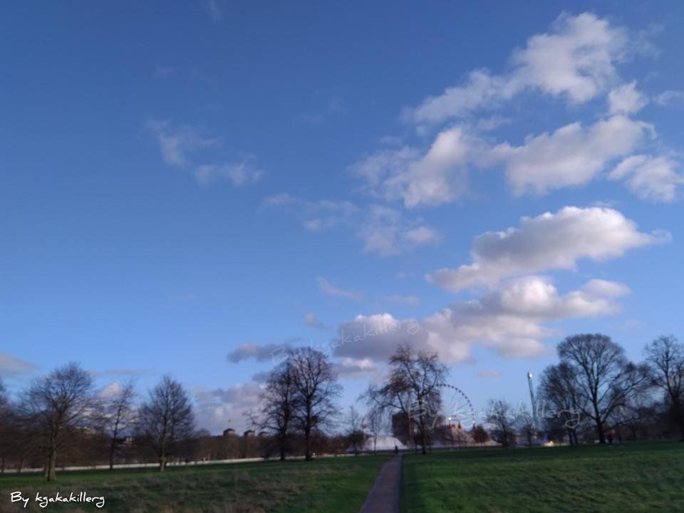 My trip to Hyde park (to be continued )
