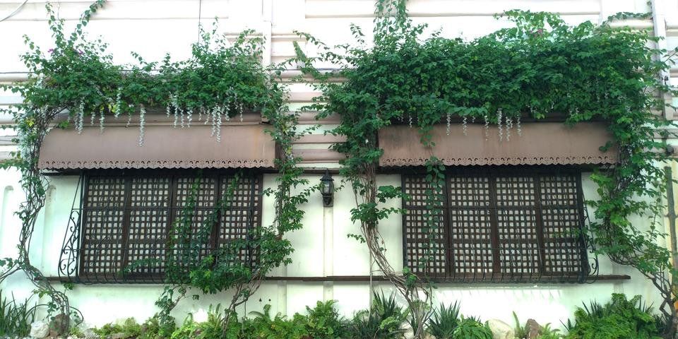 P_20180902_152617.jpg