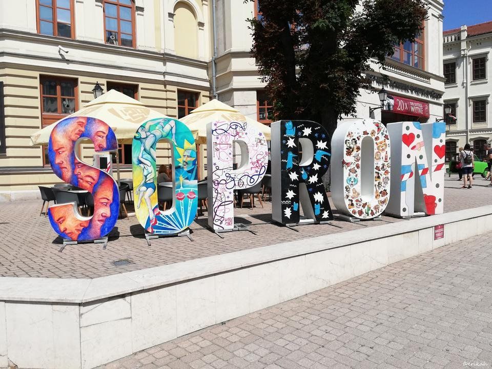 IMG_20190716_105537a.jpg