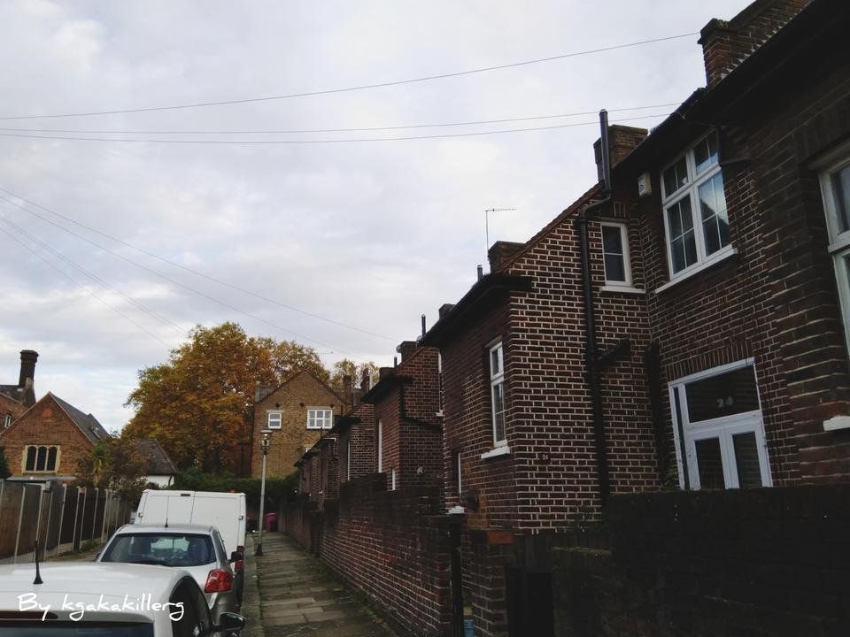 InShot_20191029_201018020.jpg