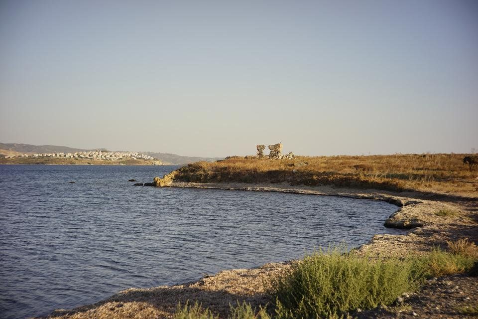 _DSC4514.jpg