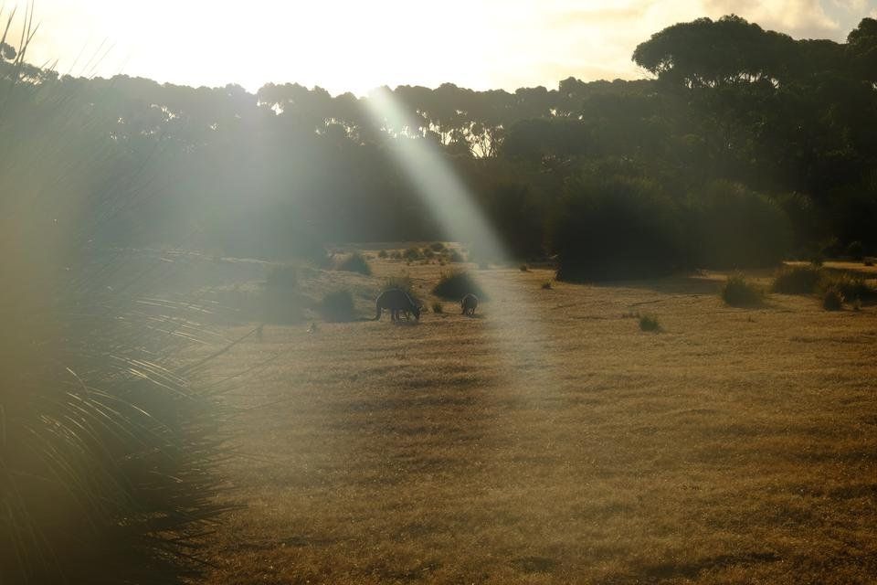 DSCF1621.JPG