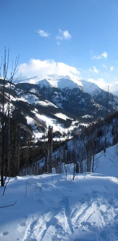 Tatry Zimą dla mniej zaawansowanych - Gęsia Szyja i Polana Rusinowa
