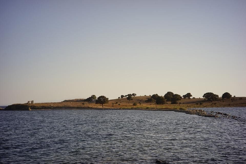 _DSC4502.jpg