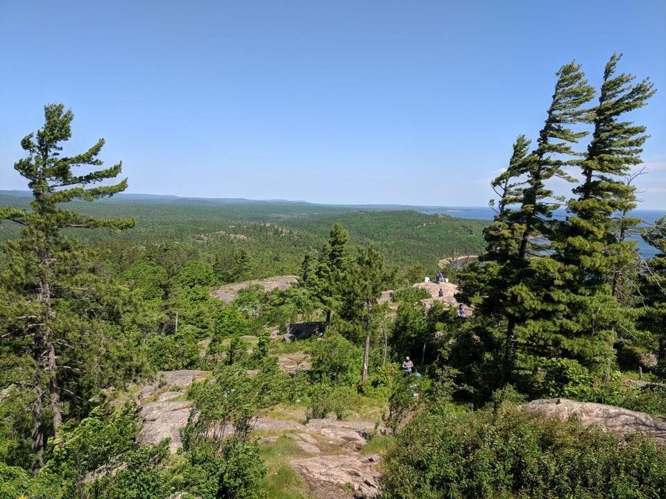 IMG_20190625_110044.jpg