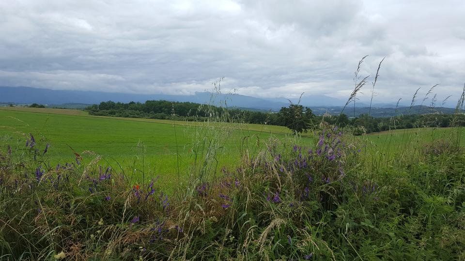 A Walk Through the Hills of Cassagne in South of France