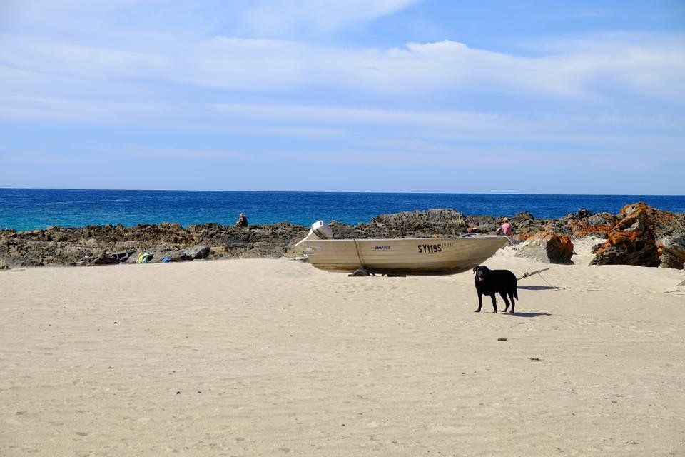 DSCF1765.JPG