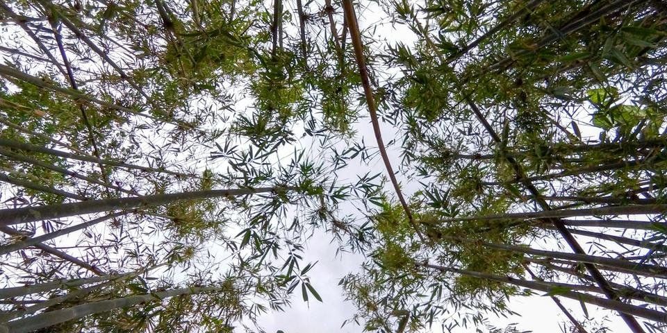 LRM_EXPORT_76151130642352_20190302_220919729.jpeg