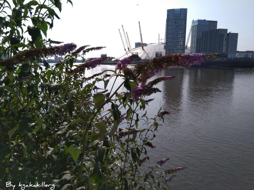 InShot_20191022_170925451.jpg