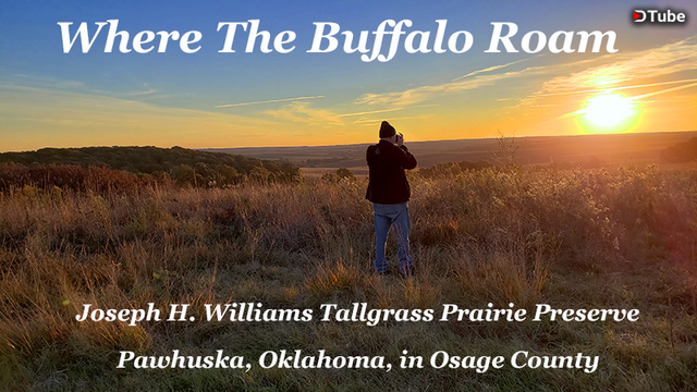 Where The Buffalo Roam - Tallgrass Prairie Preserve Near Pawhuska, Oklahoma, in Osage County