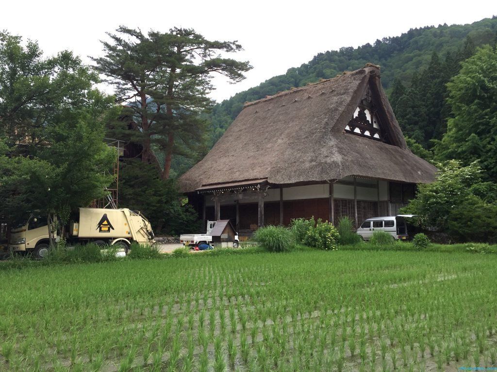 Shirakawago in Summer