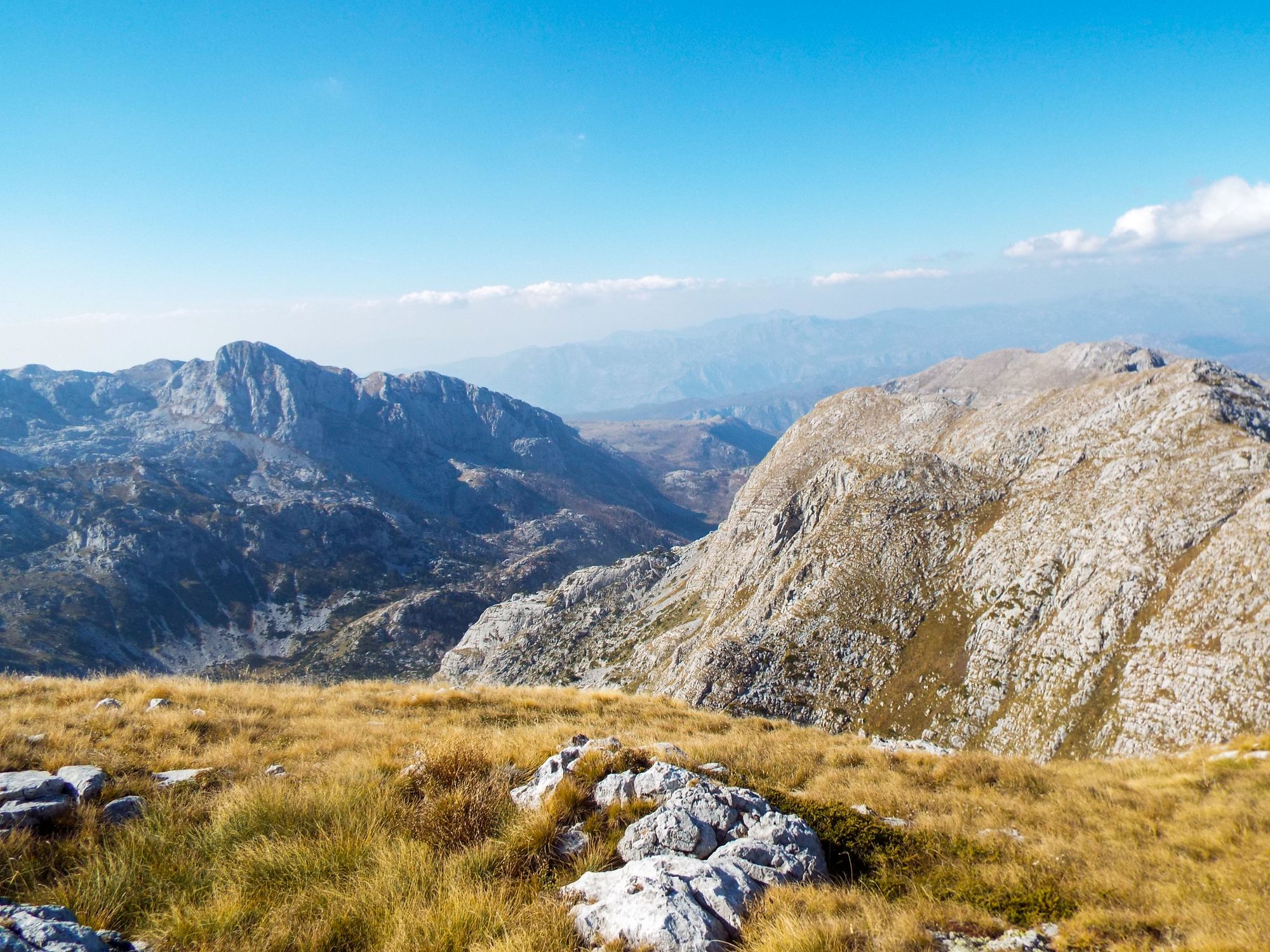 Travel Digest #504
