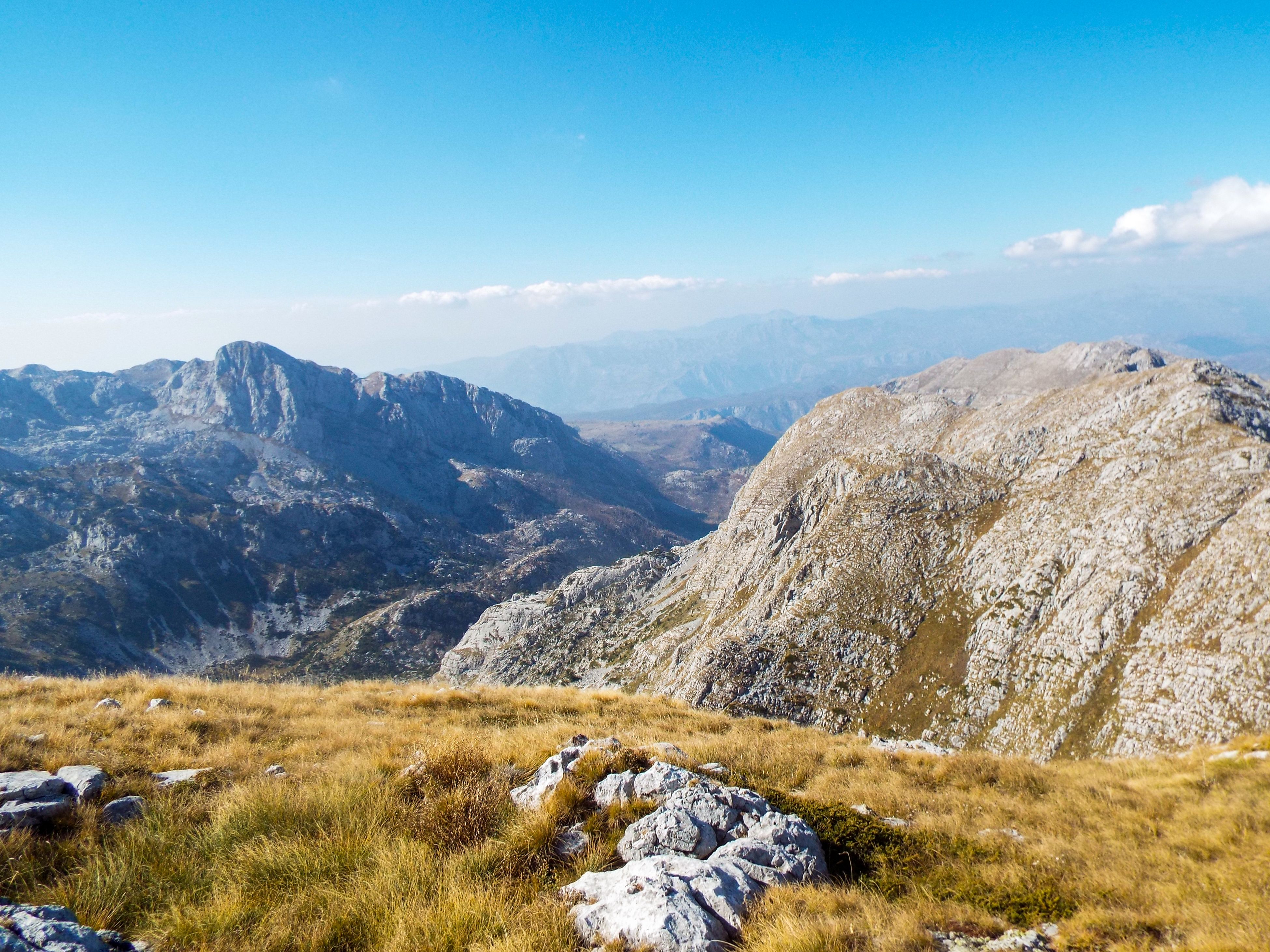Travel Digest #504