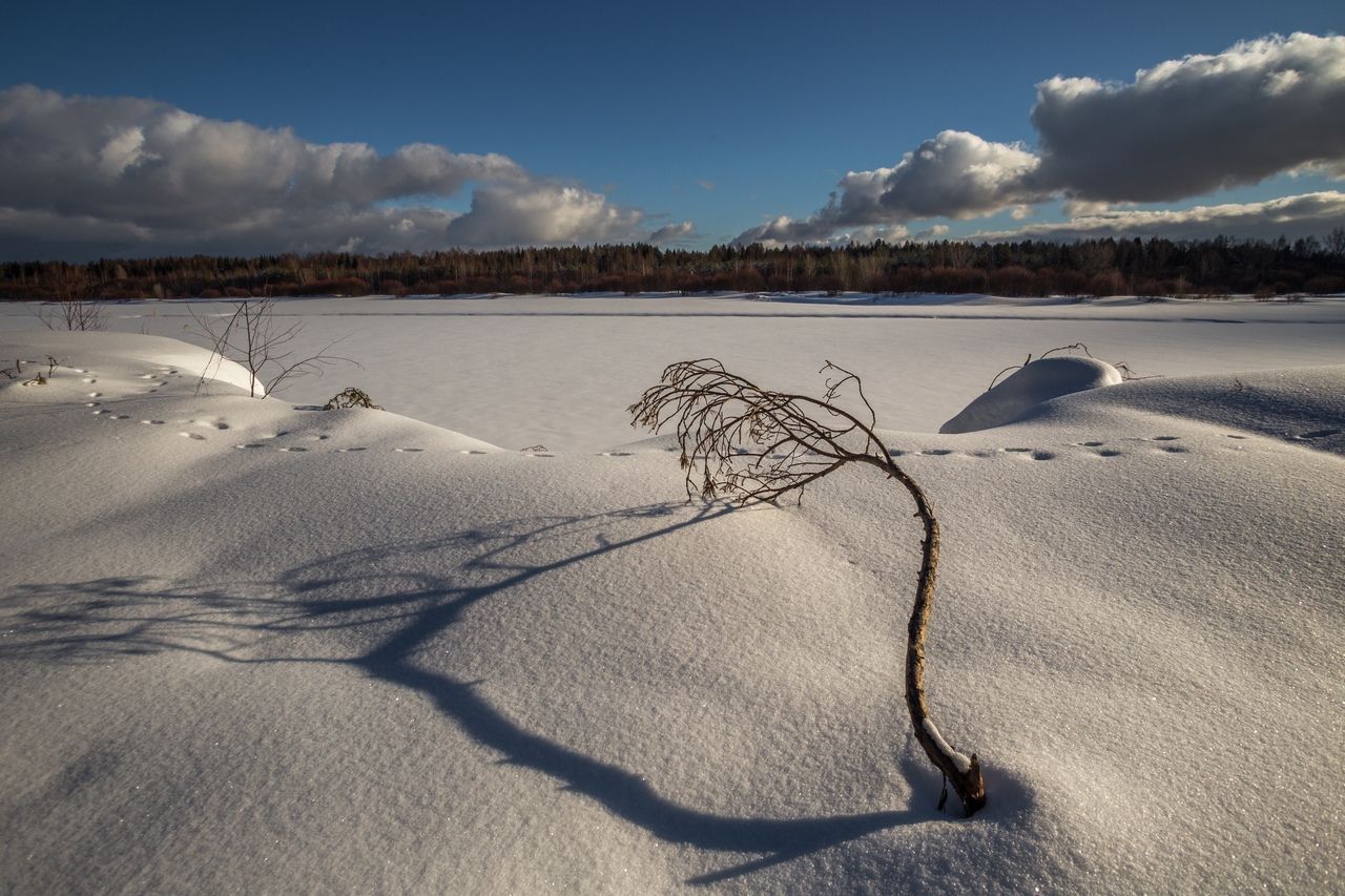 Winter bank of the river Luza