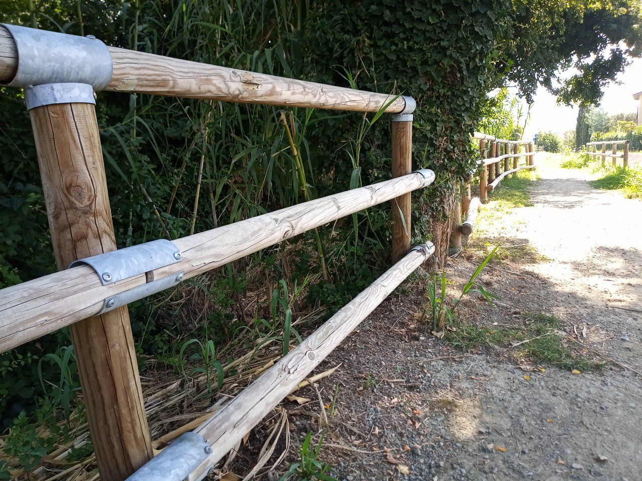 foto dalla ciclabile