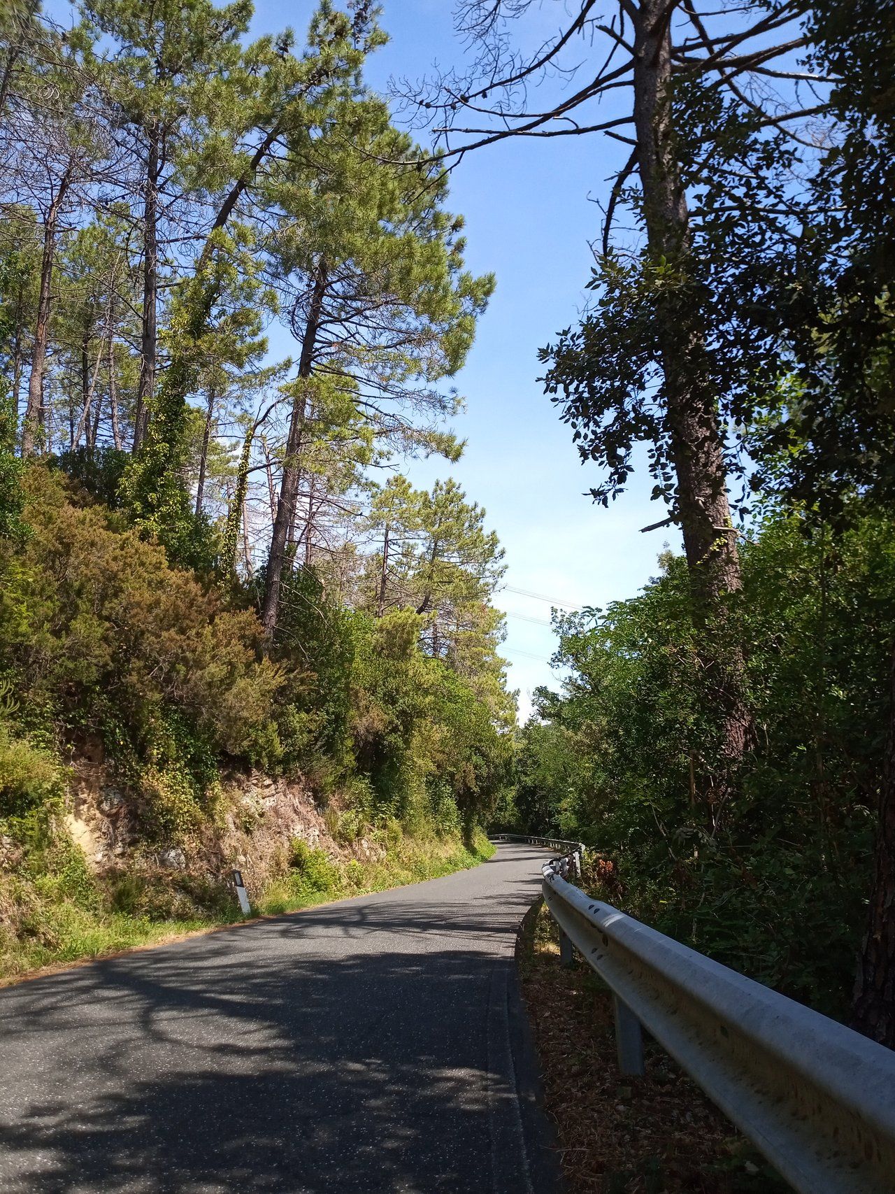 dalla strada per Carignano