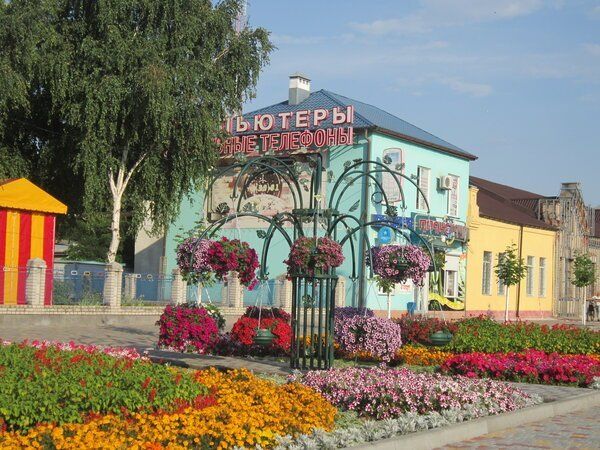 Flower beds in the city center