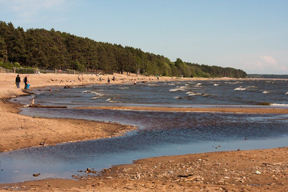 Russia, Saint-Petersburg: my trip to the beach in Repino