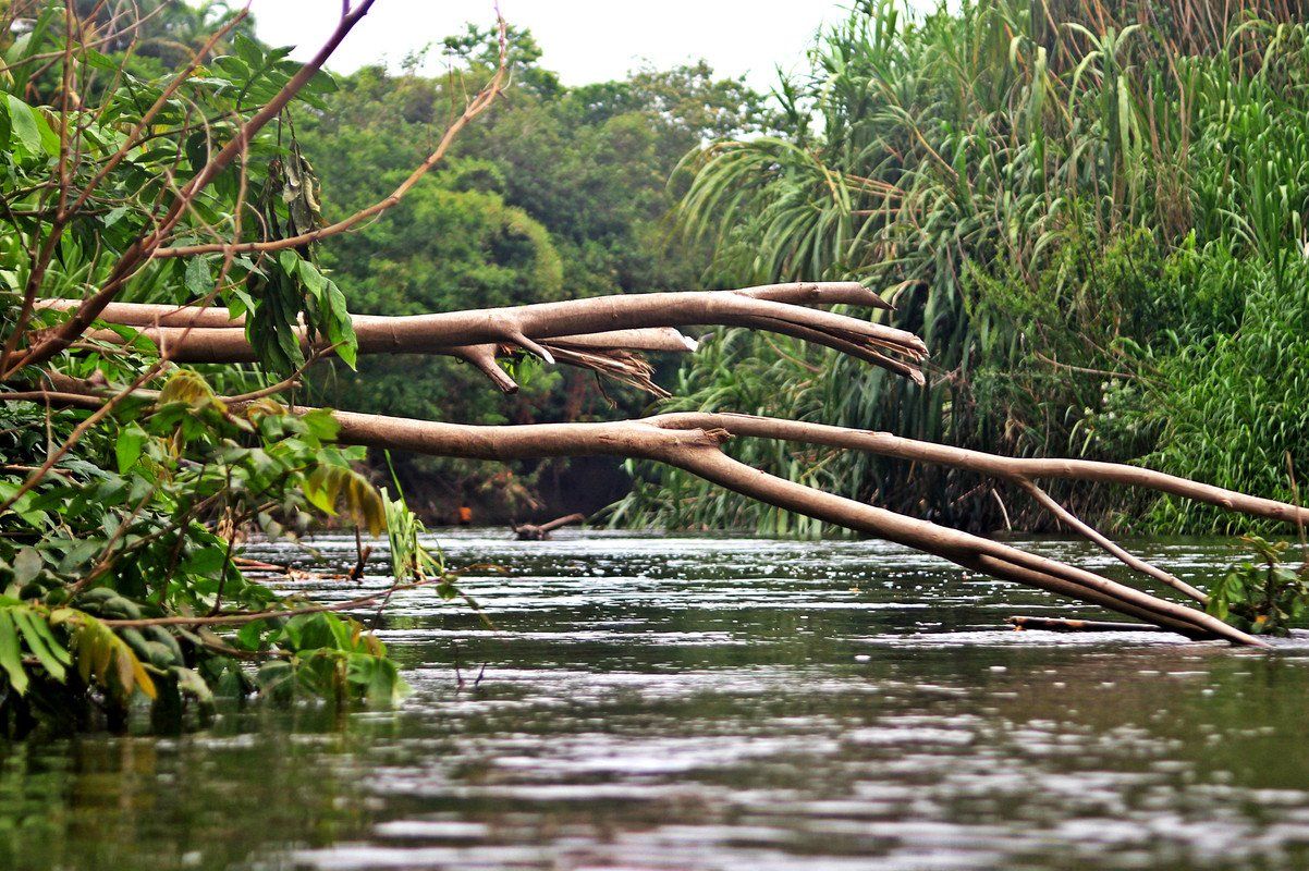 Tourism outside tourist areas: the details of the Pica del Neveri