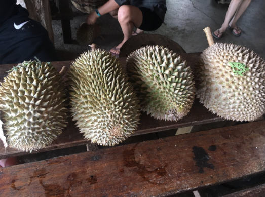 TRAVEL MALAYSIA: Top Tourist Destinations in Penang - Part II (Nature and Outdoors)