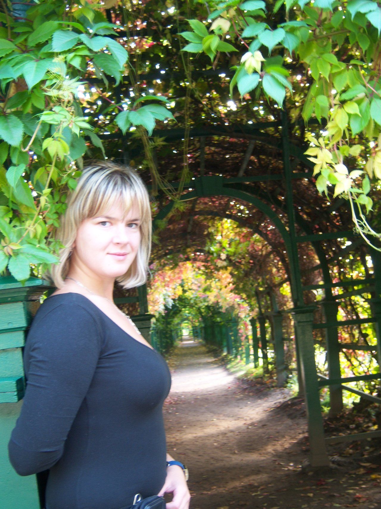 The alley is covered with virgin grapes. And me))