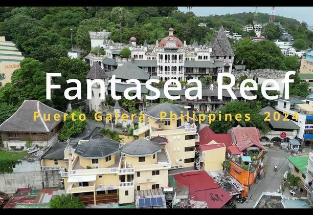 Exploring the Underwater Wonders of Fantasea Reef in Puerto Galera, Philippines